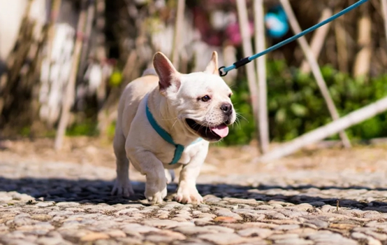 1617880818109688.png image.png